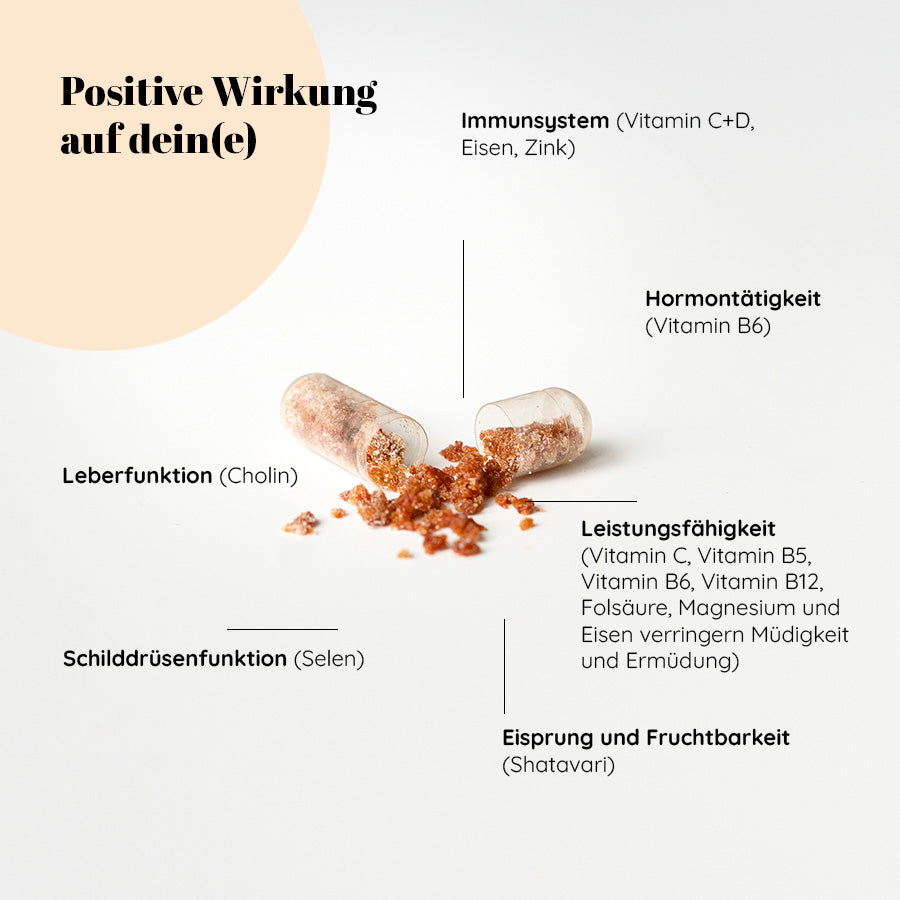 Wirkstoffe-erklaert-nahrungsergaenzungsmittel-frauen-dailies-essentials-mimerah