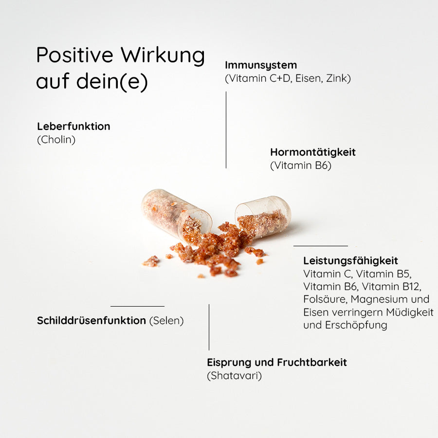 Wirkstoffe-erklaert-nahrungsergaenzungsmittel-frauen-dailies-essentials-mimerah